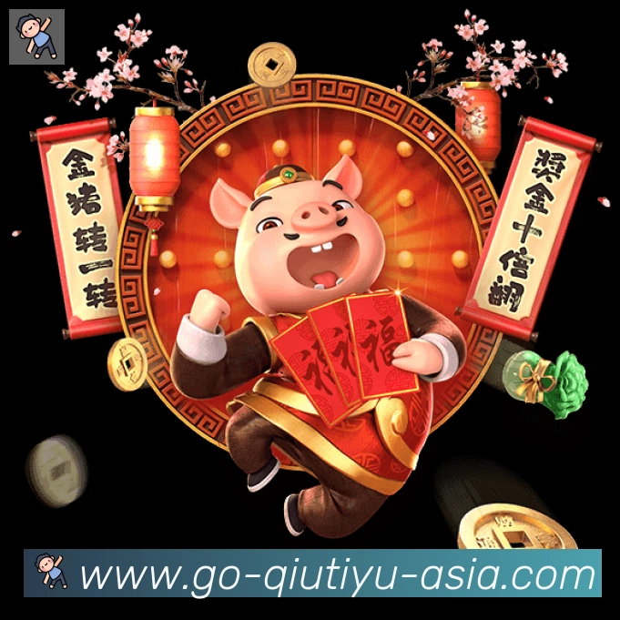 多彩内容专区